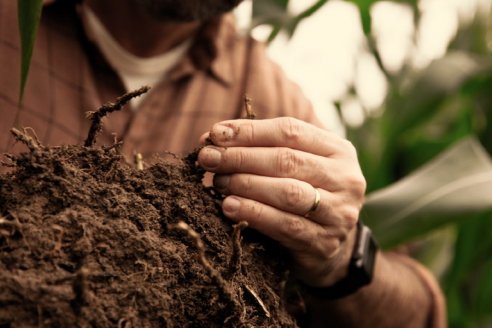 Bayer presenta su enfoque en Sustentabilidad y Huella de Carbono