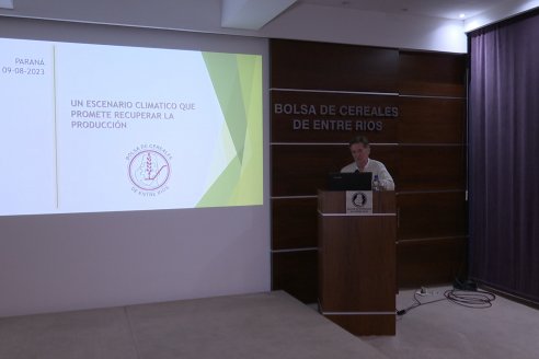 Confirmado: el Niño aparecerá en la provincia, su intensidad no es relevante y piden tener paciencia