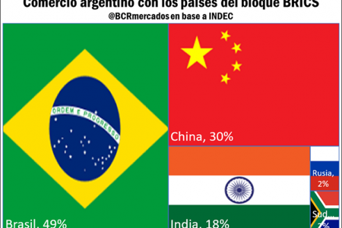 Argentina prevé ingresar al bloque BRICS, ahora bien, cómo es la relación comercial con estos países