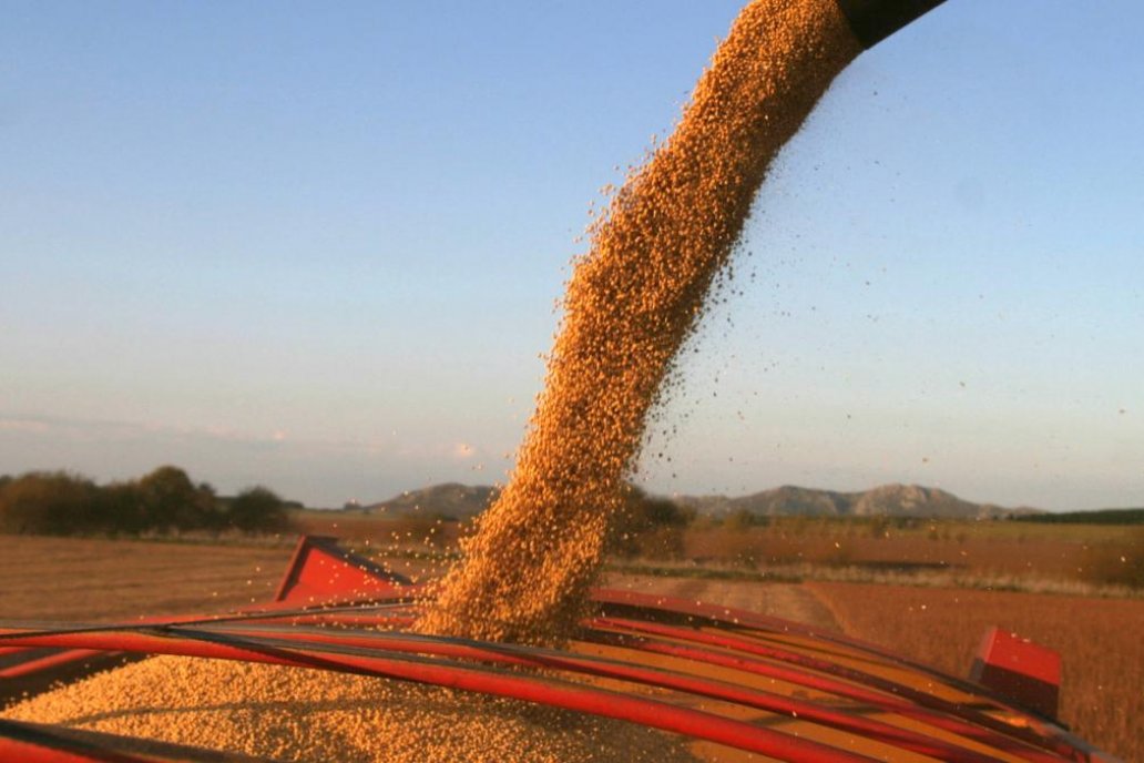 El analista prevé que los granos guardados salgan con mejores precios.