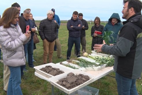 El impacto de la agricultura regenerativa en la voz de productores e investigadores