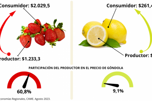 Argentina: por los agroalimentos, el consumidor pagó 3,5 veces más de lo que cobró el productor