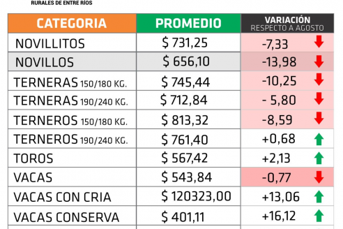 Las categorías más importantes siguen con precios en baja