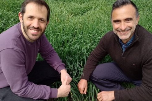 Un hallazgo abre la puerta al desarrollo de cultivos eficientes a menor costo ecológico y económico