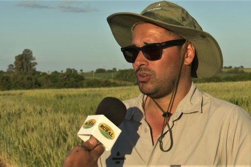 Marcos Grigioni alerta sobre el golpe de calor en trabajadores rurales