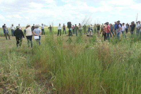 Ensayos de Larga Duración - EEA INTA Paraná - Una visión de los agroecosistemas del futuro