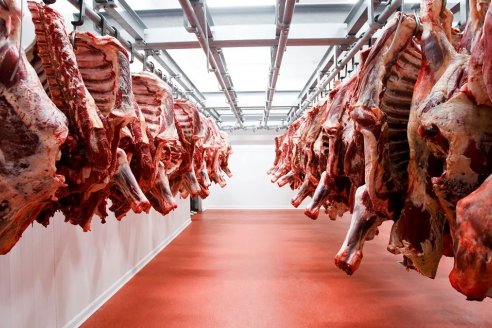 En un mes es difícil que se de vuelta la taba: 2023 será un año para el olvido en materia de exportaciones de carne