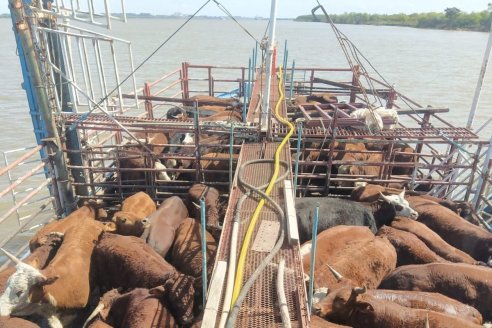 Flexibilizan la salida de hacienda de las islas