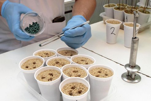 Los biológicos, un puente hacia un uso más eficiente de fertilizantes y fitosanitarios