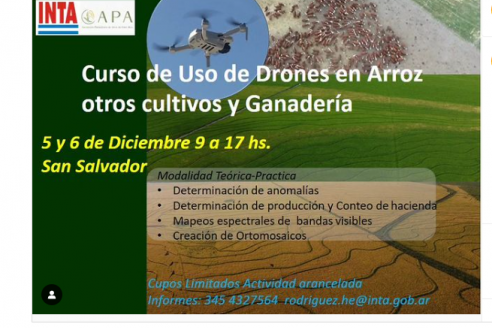 Curso sobre uso de drones en arroz, otros cultivos y ganadería