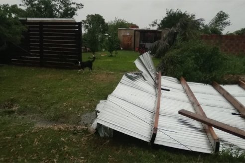 Copiosa lluvia y viento al amanecer de este miércoles bendijo suelos y desató graves destrozos en Villaguay