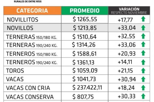Precios Farer: subas de casi el 34% registró Entre Ríos en diciembre