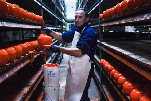 Las novedades tecnológicas sobre quesos y otros lácteos tendrán su propio simposio en Todo Láctea