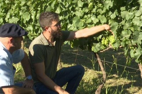 Desde Aldea María Luisa, los Fisolo hacen vinos espumantes de calidad