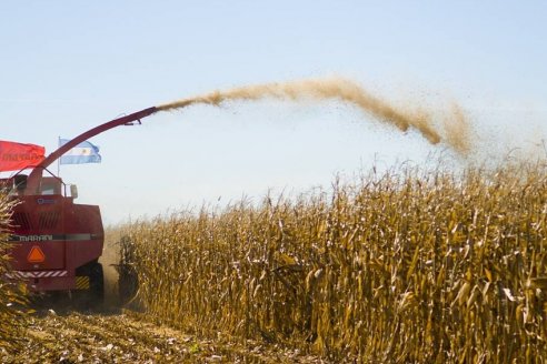 Los precios internacionales de la soja y el maíz cayeron 8% durante un mes