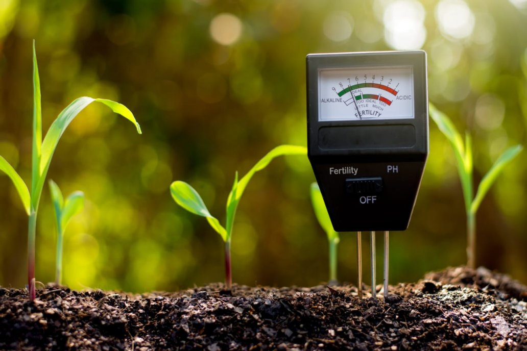 La agricultura regenerativa, clave en la solución ante el cambio climático La agricultura regenerativa, clave en la solución ante el cambio climático