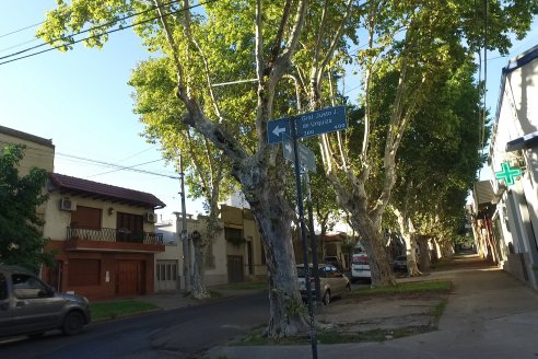 Visita al Vivero Municipal de Paraná