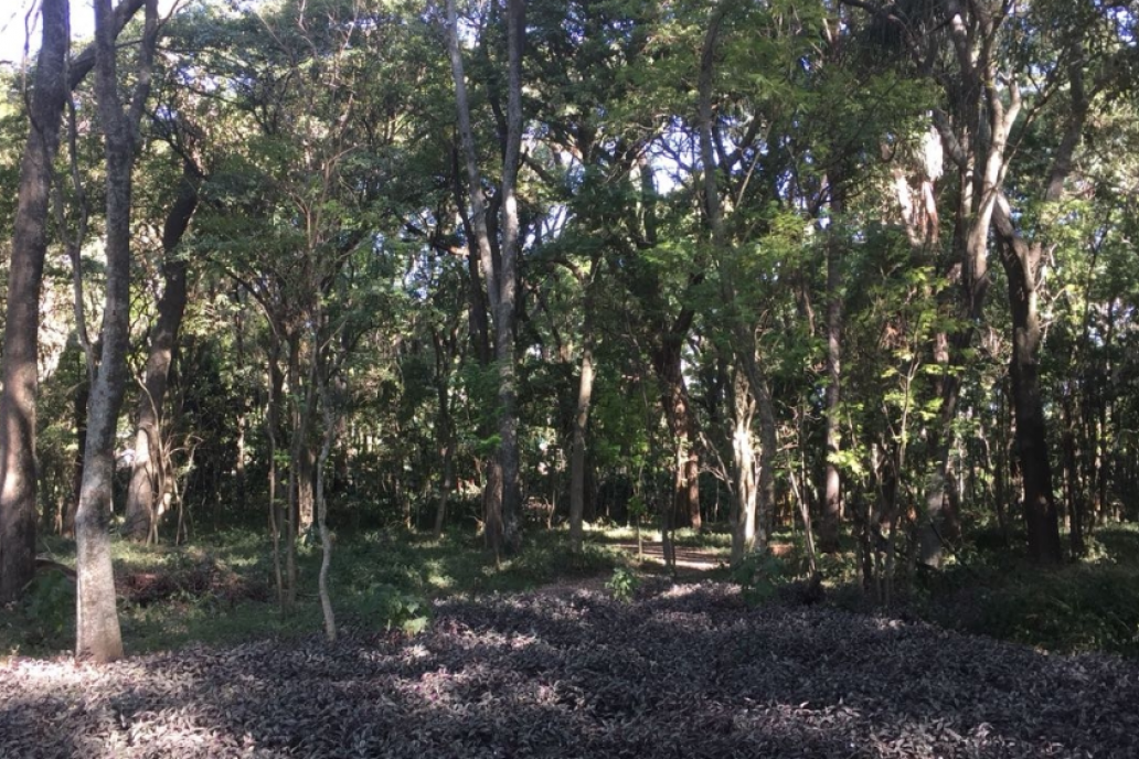 El lugar está abierto al turismo y la condición de área protegida suma valor. El lugar está abierto al turismo y la condición de área protegida suma valor.