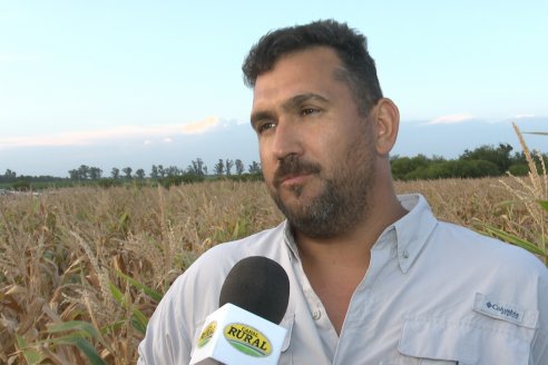 Jornada Técnica Maiz a Campo de Berardo Agropecuaria - Urdinarrain - Entre Ríos