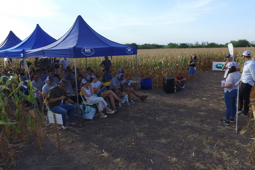 Jornada Técnica Maiz a Campo de Berardo Agropecuaria - Urdinarrain - Entre Ríos