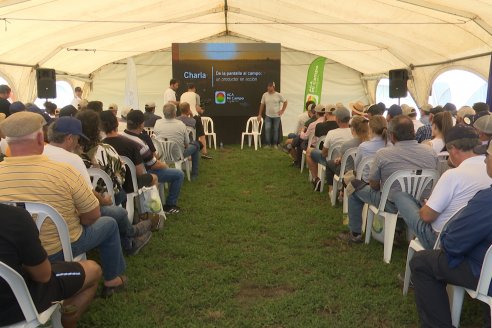 A Campo Abierto 2024  -  La propuesta de valor más integral del campo argentino - Rojas, Buenos Aires