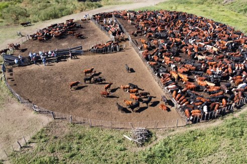 Desde Farer también rechazan los cambios en el plan de vacunación contra la fiebre aftosa
