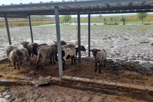 Lo que se viene son tres meses de lluvias muy por debajo de lo normal