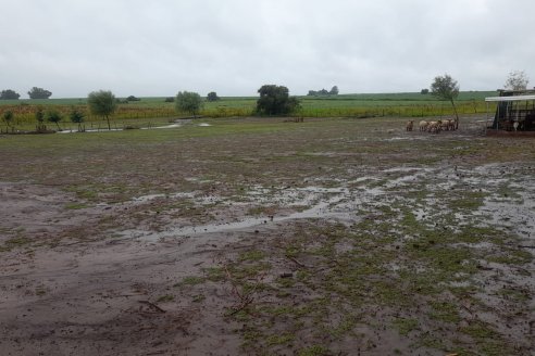 Es de esperar que vuelvan las lluvias en este fin de semana