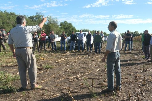 Dia a Campo Pioneer - Agroservicios Paraná SRL -   La Picada, Entre Ríos