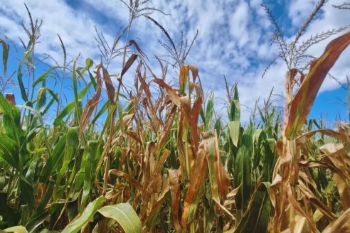 El gobierno oficializó su plan para vender edificios y tierras de INTA