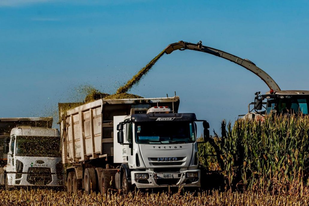 Al esquena federal se suman las Experimentales Uruguay y Paraná de INTA.