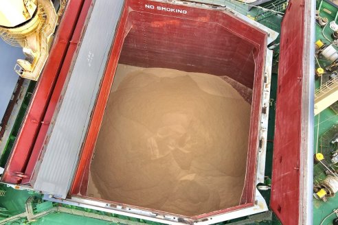 Entre Ríos en la vanguardia de la producción y exportación de harina de soja sustentable