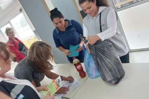 Controlan fronteras para evitar que entren los escarabajos