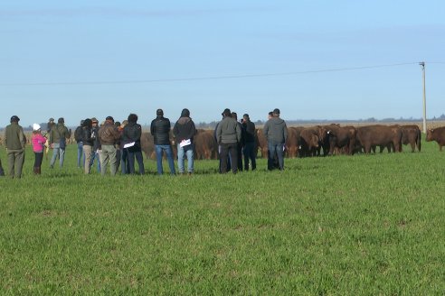 Dia de Campo - Cabaña Bajo Fertil y Los Colorados del Centro . Gral Cabrera, Córdoba