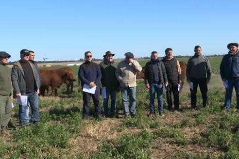 Dia de Campo - Cabaña Bajo Fertil y Los Colorados del Centro . Gral Cabrera, Córdoba