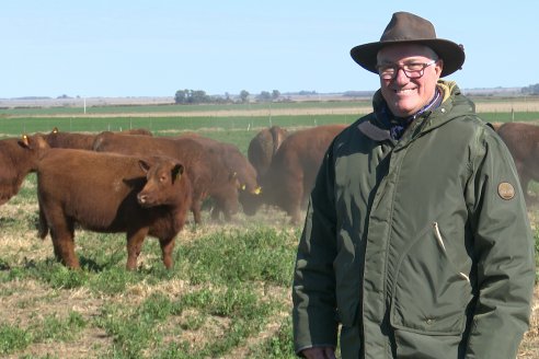 Perlo: "Tomamos lo mejor de cada línea Angus para tener animales bien adaptados a su ambiente"