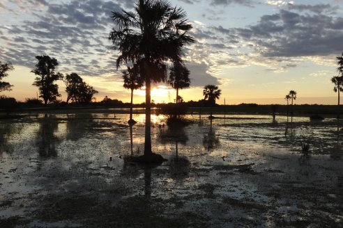 Informe del Conicet precisa que 13 millones de hectáreas de Argentina son propiedades de extranjeros