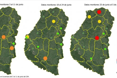 La presencia de la chicharrita de maíz tiende a la baja en la provincia