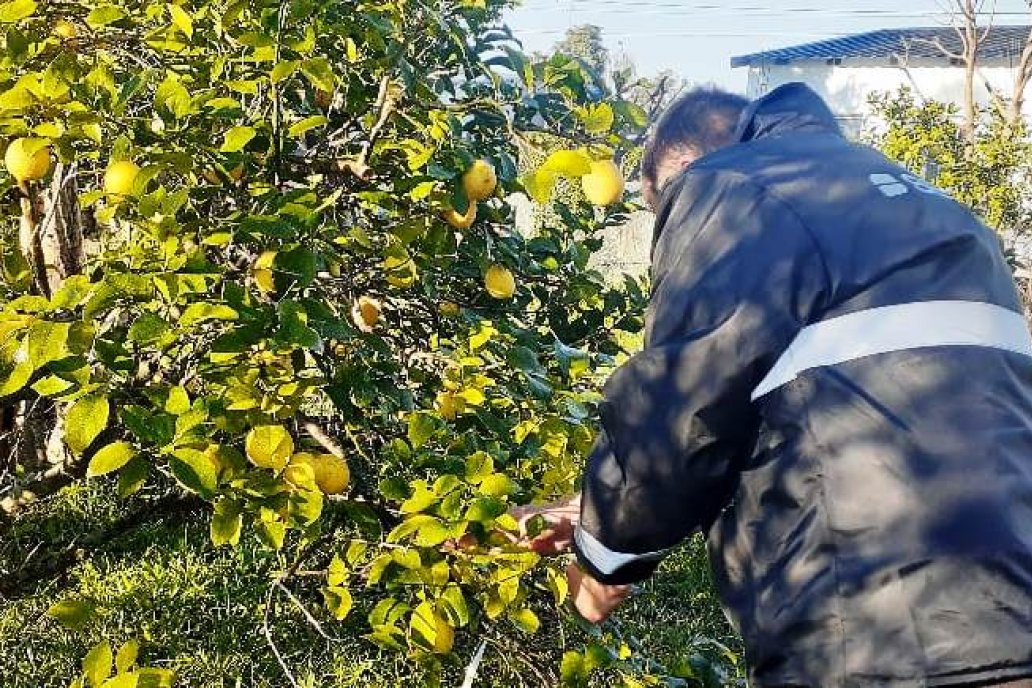 Además de revisar jardines, los inspectores de Senasa dieron capacitaciones.