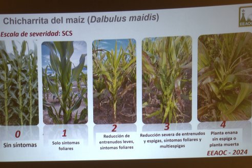 Jornada Técnica de Invierno Raices del Este en Paraná