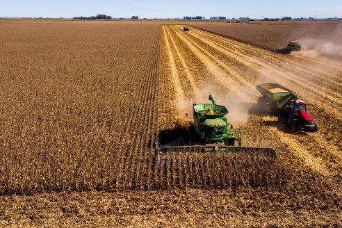 La agronomía del hoy y el maíz del futuro