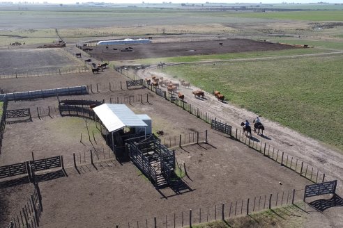 Dia a Campo de Cabaña Malaika previo al 3° Remate Anual el próximo 6 de Septiembre en Feria Maria Dolores