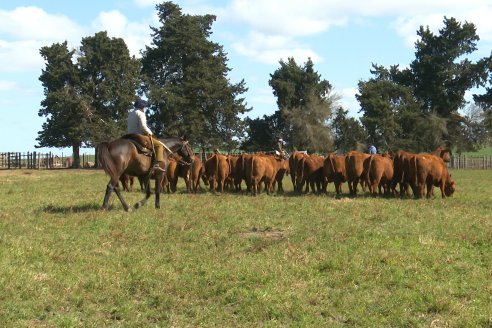 Dia a Campo de Cabaña Malaika previo al 3° Remate Anual el próximo 6 de Septiembre en Feria Maria Dolores