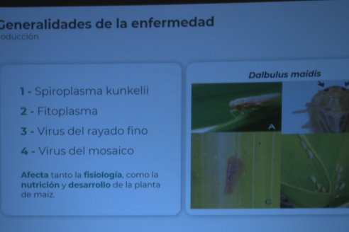 Jornada de Capacitación Técnica sobre Cultivos de Maiz y Girasol de Insumos Entre Ríos en Paraná