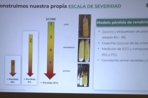 Jornada de Capacitación Técnica sobre Cultivos de Maiz y Girasol de Insumos Entre Ríos en Paraná