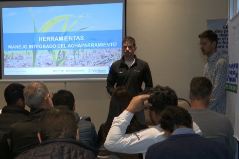 Jornada de Capacitación Técnica sobre Cultivos de Maiz y Girasol de Insumos Entre Ríos en Paraná