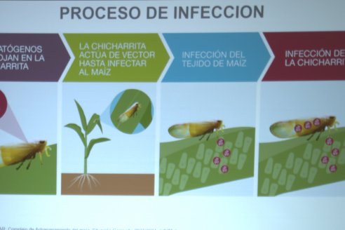 Jornada de Capacitación Técnica sobre Cultivos de Maiz y Girasol de Insumos Entre Ríos en Paraná