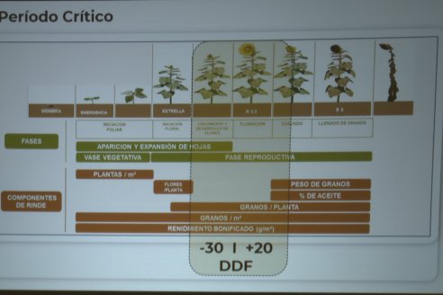 Jornada de Capacitación Técnica sobre Cultivos de Maiz y Girasol de Insumos Entre Ríos en Paraná