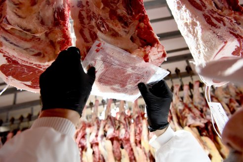 Mercosur: ganaderos e industriales de la carne rechazan las nuevas exigencias comerciales de Europa