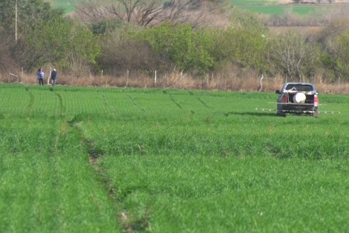 Adelki Altamirano - IBIA Agro - Producción y comercialización de bio-insumos agrícolas desde El Palanque, Entre Ríos